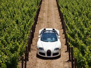 Bugatti Veyron in a vineyard