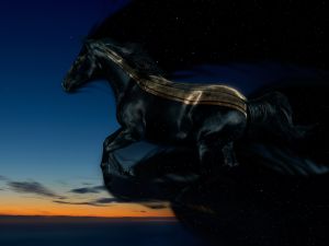 Black horse flying in night
