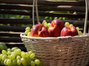 Basket with peaches and grapes