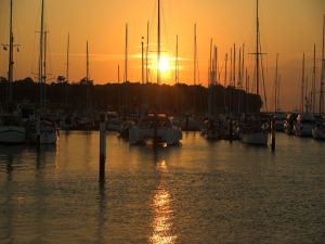 Boats in marina at sunset