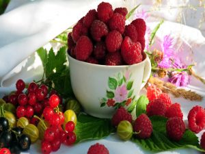 Cup with raspberries
