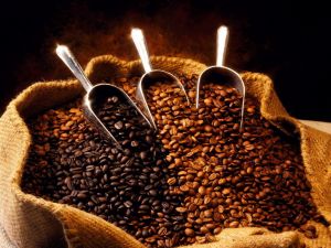 Three varieties of coffee