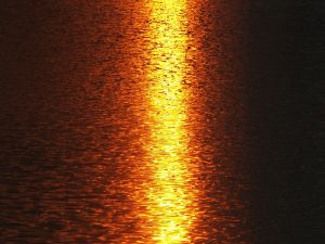 Sunlight projected on the water