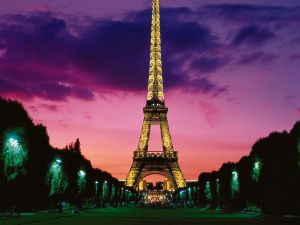 A night view of the Eiffel Tower in Paris