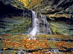 Waterfall with autumn leaves