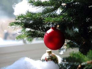 Red ball on Christmas tree