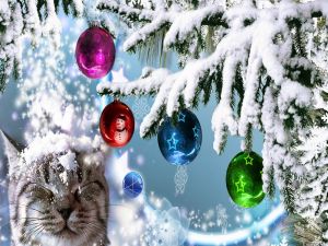 A cat under a snowy Christmas tree