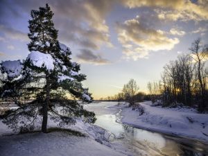 River, trees and snow