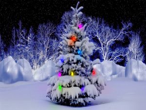 Illuminated little Christmas tree in the snow