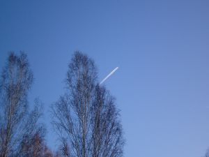 A plane in the sky