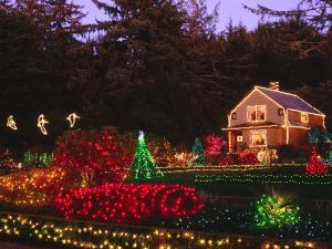 Home and garden with Christmas lights