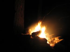 Firewood on fire