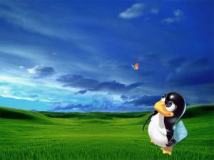 Linux hunting to Windows