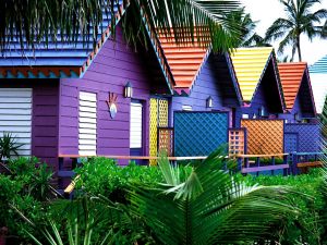 Colorful little houses and palm trees