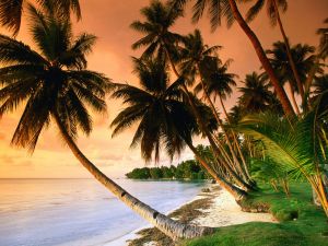 Blue Lagoon Resort Beach, Micronesia
