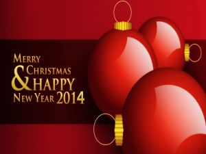 Merry Christmas & Happy New Year 2014