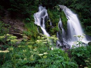 Waterfalls in the Umpqua National Forest, Oregon