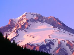 Alpenglow on the slopes of Mount Hood, Oregon