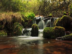 Little waterfalls (Dehesa del Moncayo, Spain)