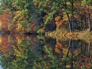 The autumn reflection