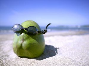 A coconut on the beach