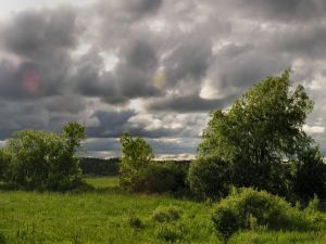 Gray clouds over green field