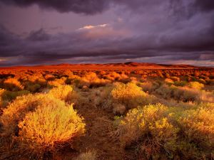 Antelope Valley, California