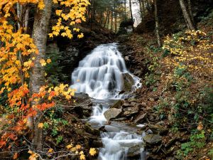 Beautiful waterfall in autumn