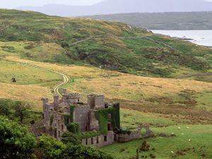 View of Clifden Castle and the animals in the meadows
