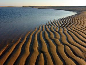 Furrows in the sand