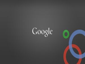 The importance of circles in the Google social network