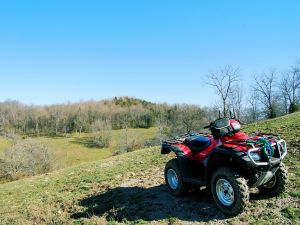 ATV Honda on green grassland