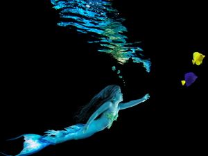 Mermaid in the water