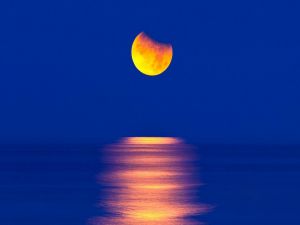 The moon reflected in the sea