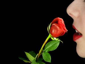 Smelling the fragrance of a rose